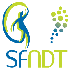 logo-sfndt